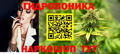 гашик Славянск-на-Кубани