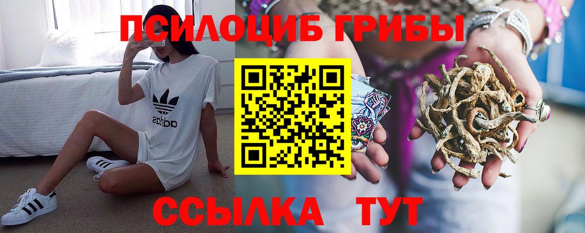 Галлюциногенные грибы Psilocybine cubensis Аша