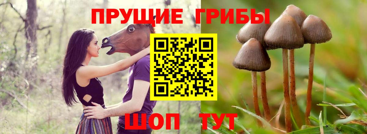 Псилоцибиновые грибы мухоморы  Вход с VPN  Аша 